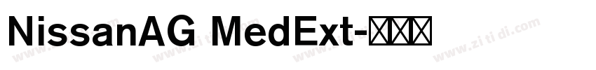 NissanAG MedExt字体转换